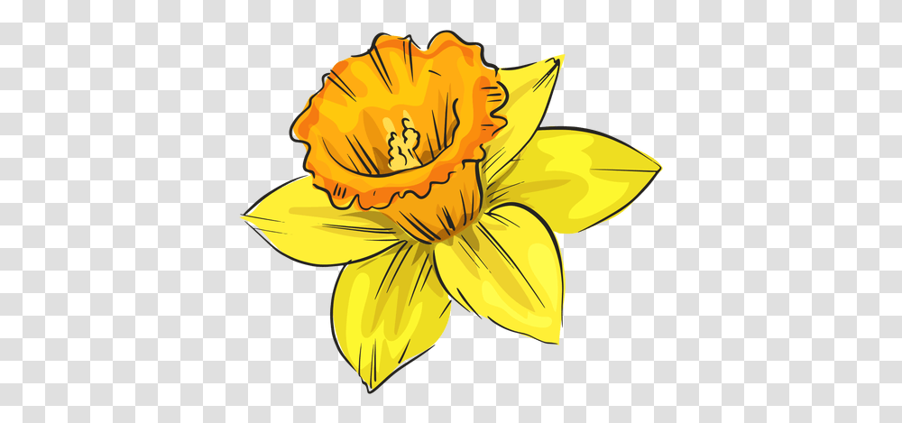 Narcissus Side Yellow Flower & Svg Vector File Flor De Lado, Plant, Blossom, Lily, Pond Lily Transparent Png
