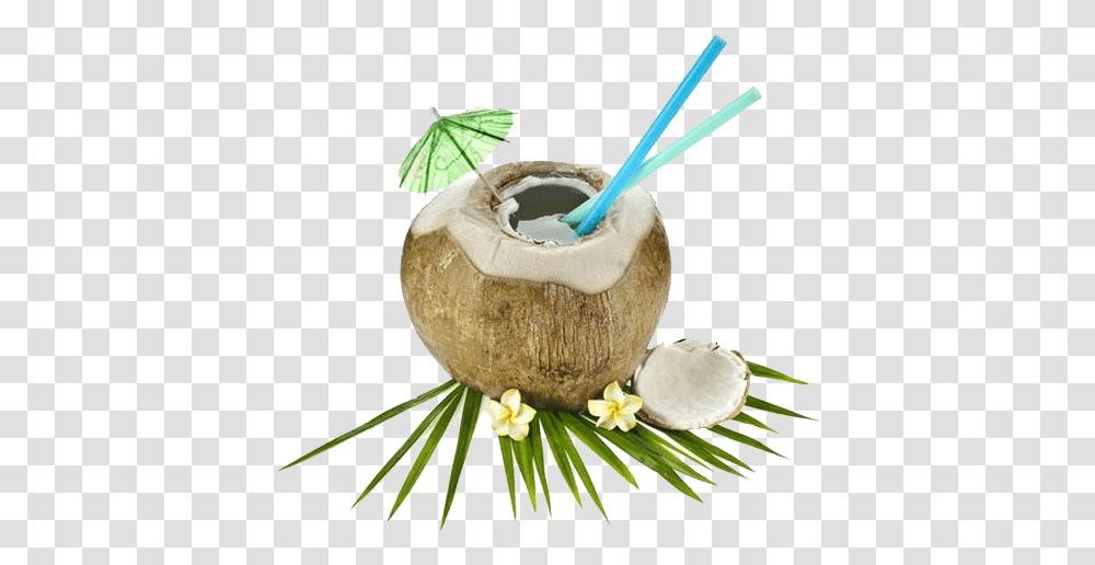 Nariyal Cool Packed Tender Coconut Water In Hyderabad Pudding, Plant, Vegetable, Food, Fruit Transparent Png