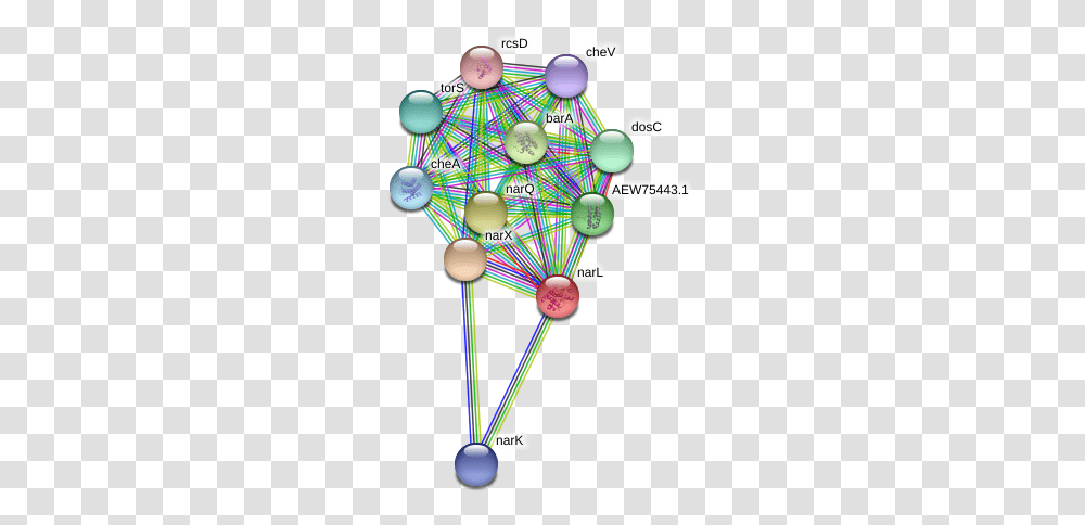 Narl Protein Circle, Balloon, Network Transparent Png