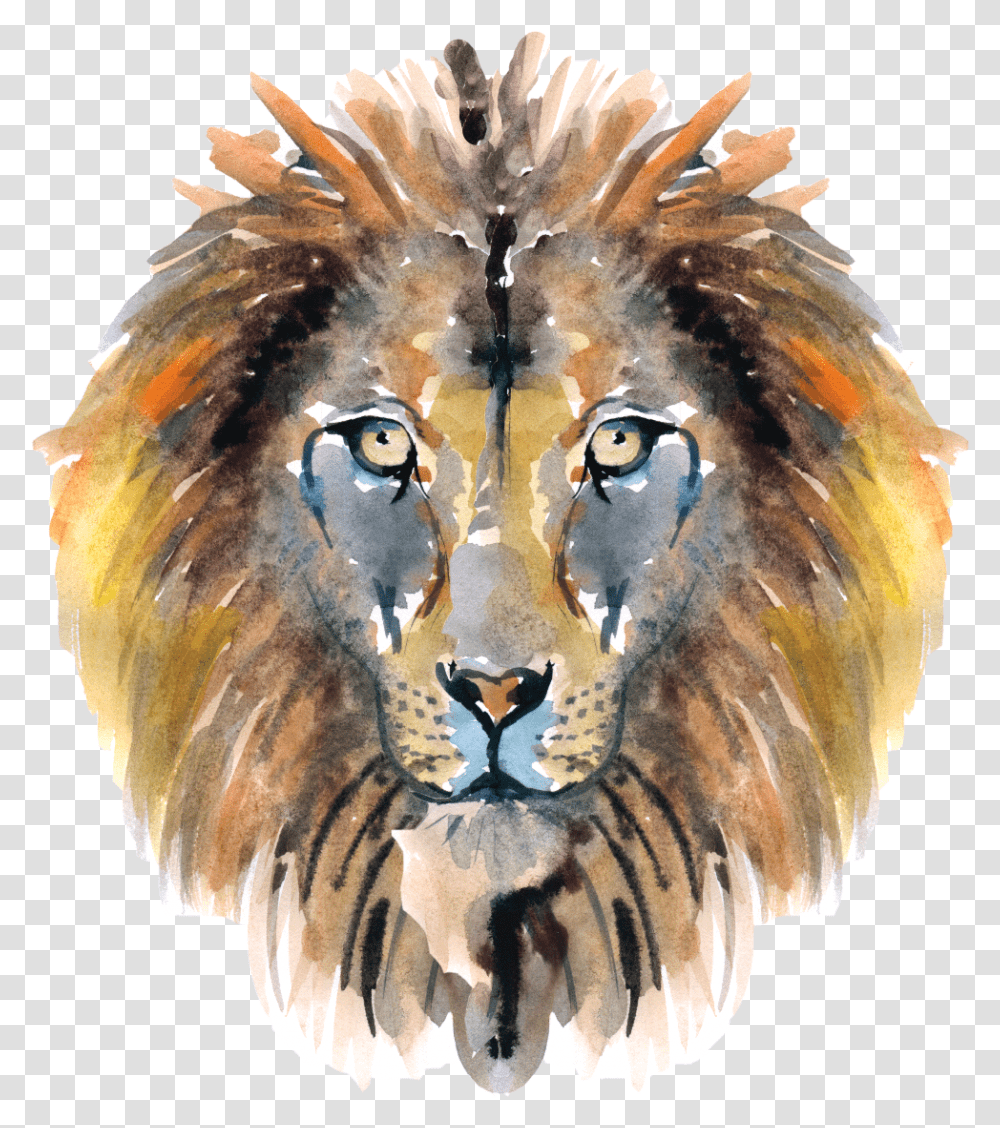 Narnia 18 Masai Lion, Wildlife, Mammal, Animal, Bird Transparent Png
