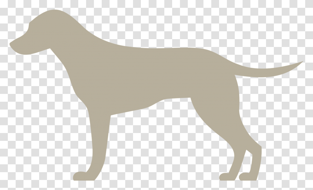Narumed Hund Hund, Gray, Texture, White, Word Transparent Png