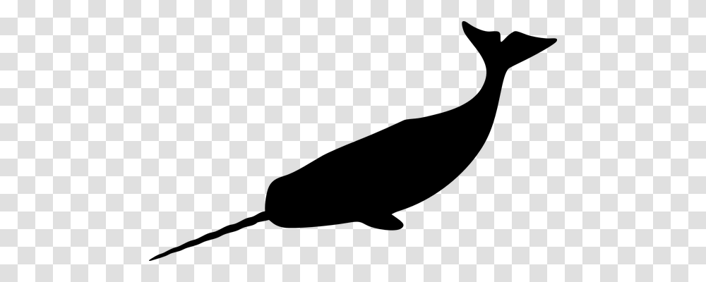 Narwhal Holiday, Gray, World Of Warcraft Transparent Png