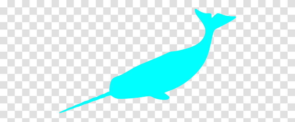 Narwhal Aqua Clip Art, Mammal, Animal, Sea Life, Whale Transparent Png