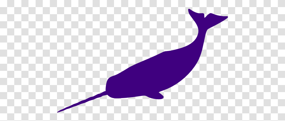 Narwhal Clipart People Narwhal Background, Animal, Mammal, Sea Life, Whale Transparent Png