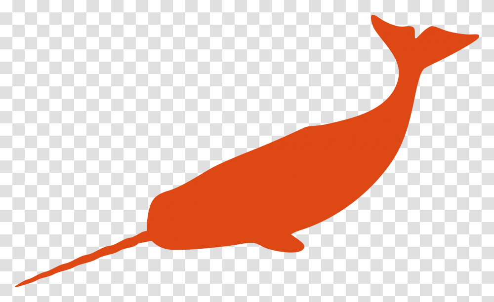 Narwhal Clipart Squiggle, Animal, Mammal, Sea Life, Whale Transparent Png