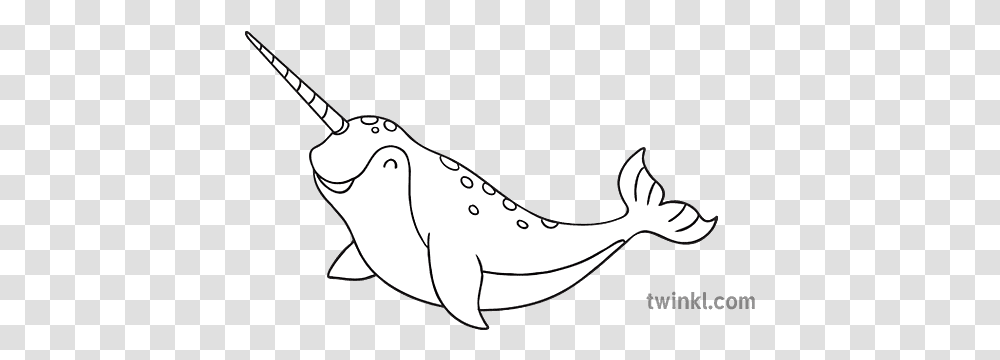 Narwhal Colouring, Sea Life, Animal, Shark, Fish Transparent Png