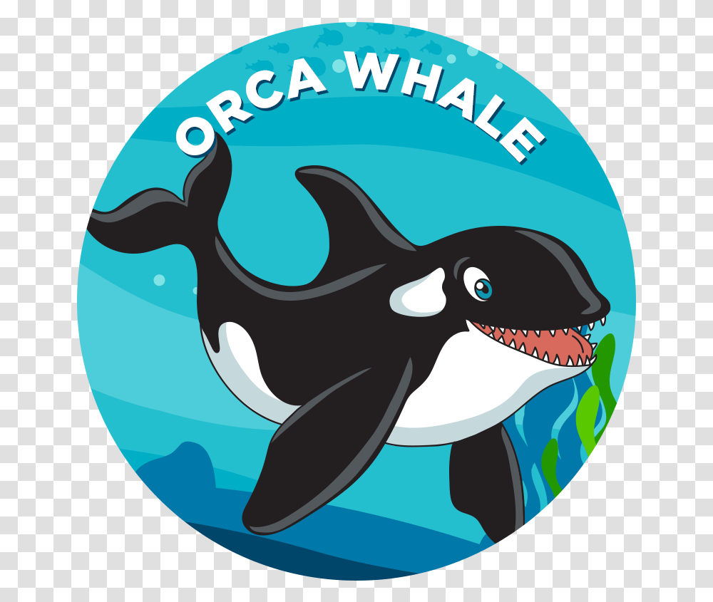 Narwhal Download Mako Shark Cartoon, Orca, Mammal, Sea Life, Animal Transparent Png