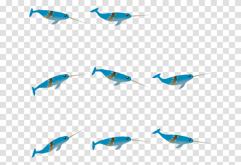 Narwhal Marlin, Flock, Animal, Flying, Bird Transparent Png