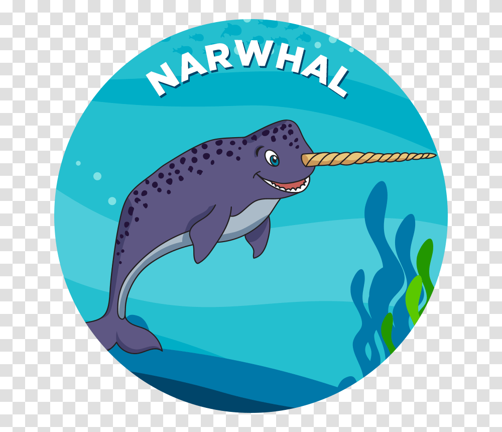 Narwhal, Sea Life, Animal, Mammal, Whale Transparent Png