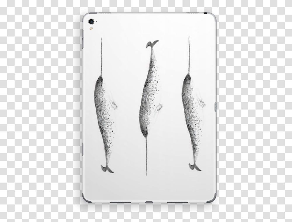 Narwhale Skin Ipad Pro Monochrome, Animal, Sea Life, Herring, Fish Transparent Png