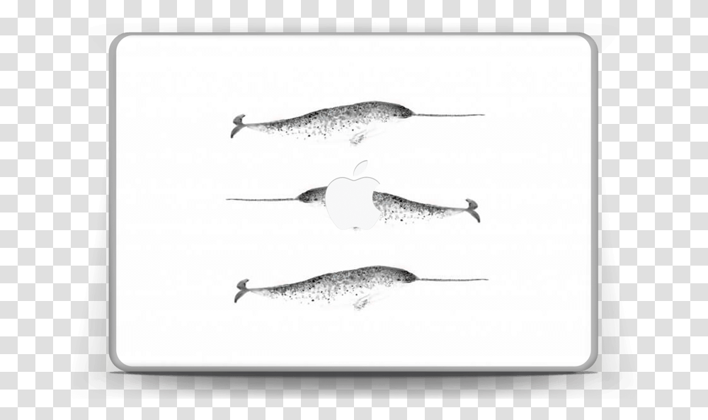Narwhale Skin Macbook Pro 13 Long Nose Gar, Sea Life, Animal, Fish, Mammal Transparent Png