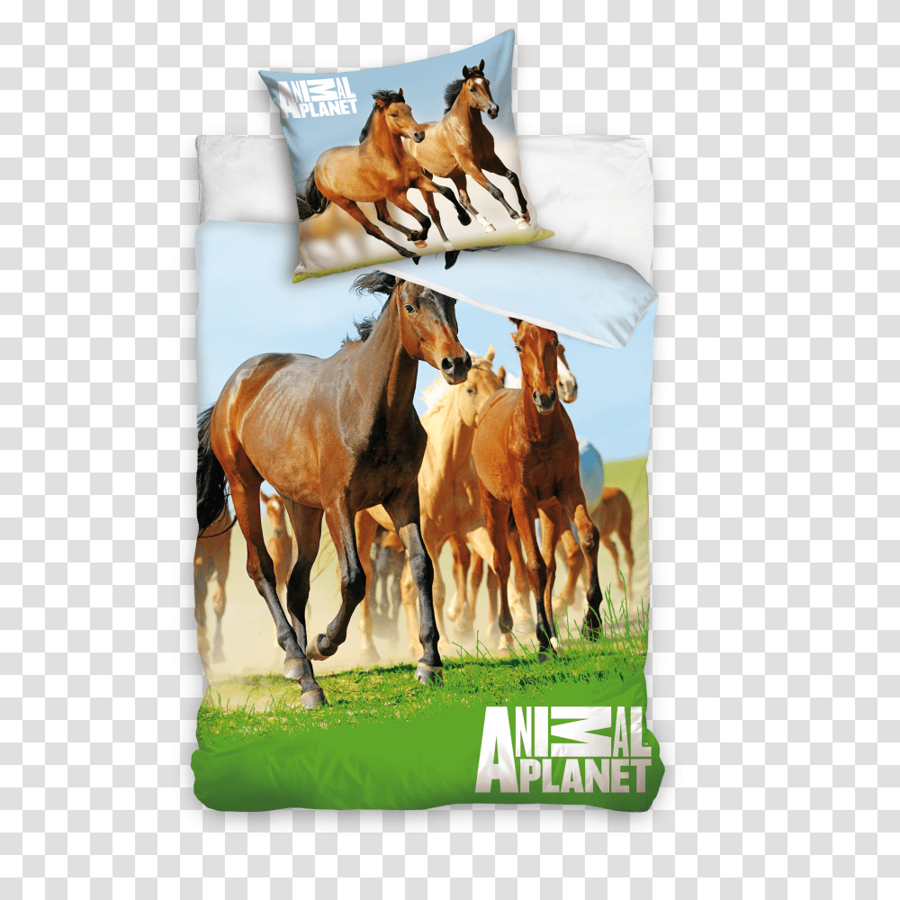 Narzuta Na Ko Konie, Horse, Mammal, Animal, Advertisement Transparent Png