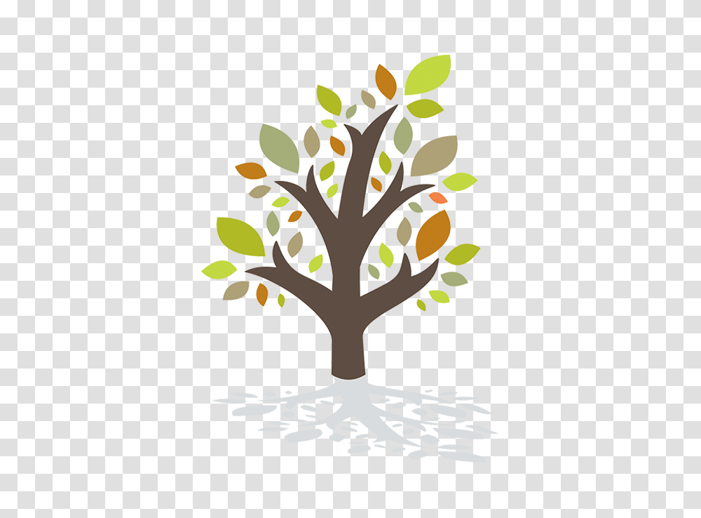Nassau County Council On Aging Florida, Plant, Tree Transparent Png