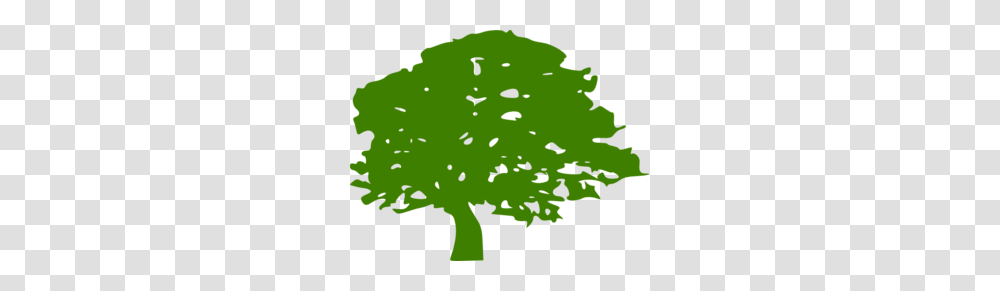 Nat S Green Tree Clip Art, Plant, Leaf, Vegetation, Bird Transparent Png