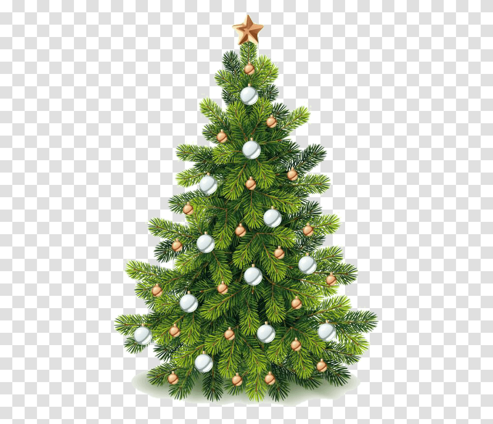 Natal Background Feliz Natal Enfeite Clipart Christmas Tree, Ornament, Plant, Pine Transparent Png