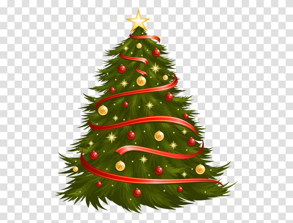 Natal, Christmas Tree, Ornament, Plant, Vegetation Transparent Png