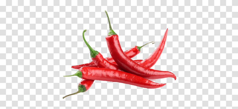 Natal Foods Famous Hot Pepper Product For Those Who Like More, Plant, Vegetable, Bell Pepper Transparent Png