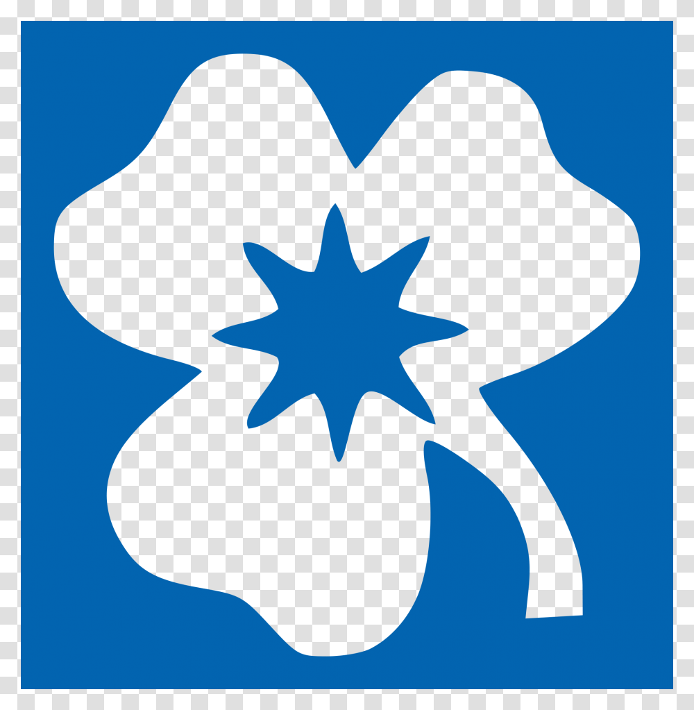 National Association Of Girl Guides And Girl Scouts, Star Symbol, Person, Human Transparent Png