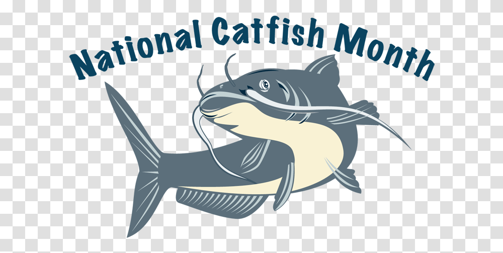 National Catfish Month Catfish, Animal, Sea Life, Water, Mammal Transparent Png