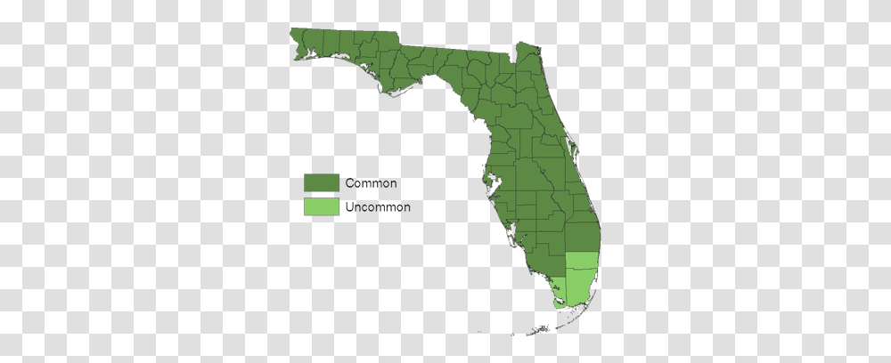 National Forests Fl State Of Florida With Heart, Map, Diagram, Plot, Atlas Transparent Png