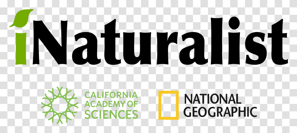 National Geographic Logo, Alphabet, Outdoors, Nature Transparent Png