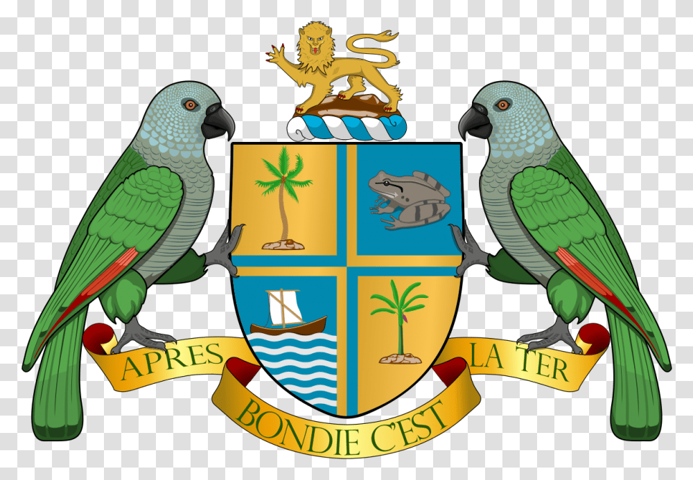 National Symbols Of Dominica, Bird, Animal, Parrot, Parakeet Transparent Png