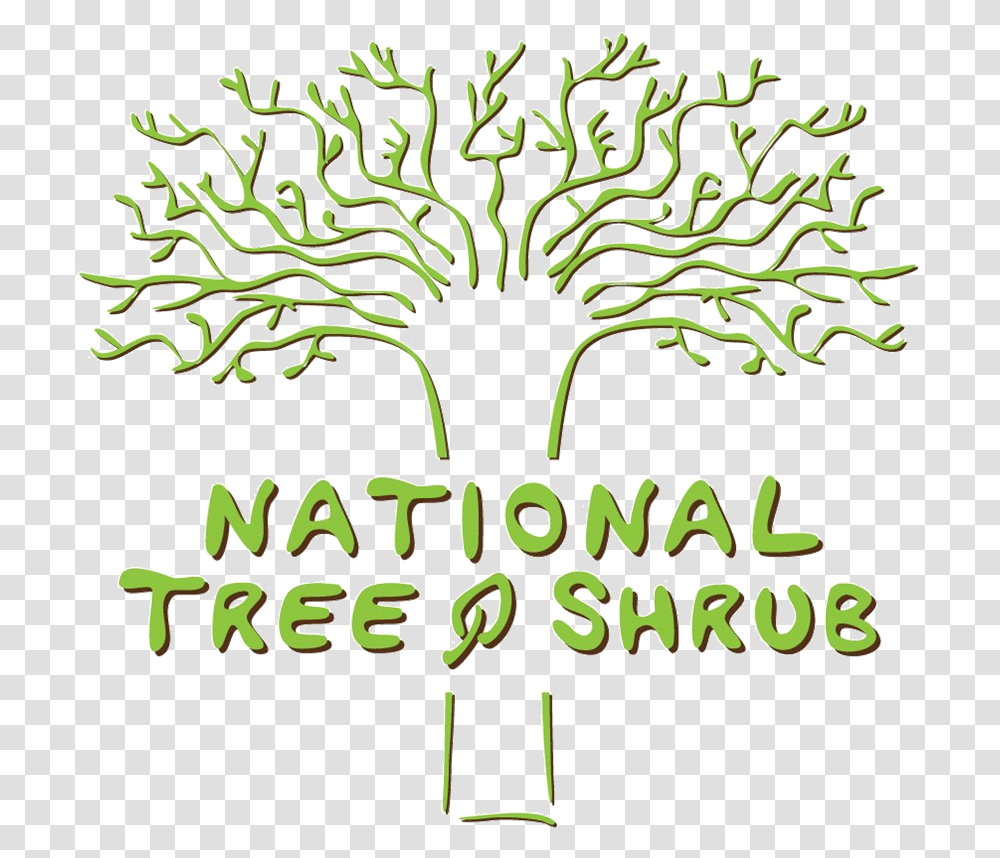 National Tree Amp Shrub Download, Plant, Vase, Jar, Pottery Transparent Png