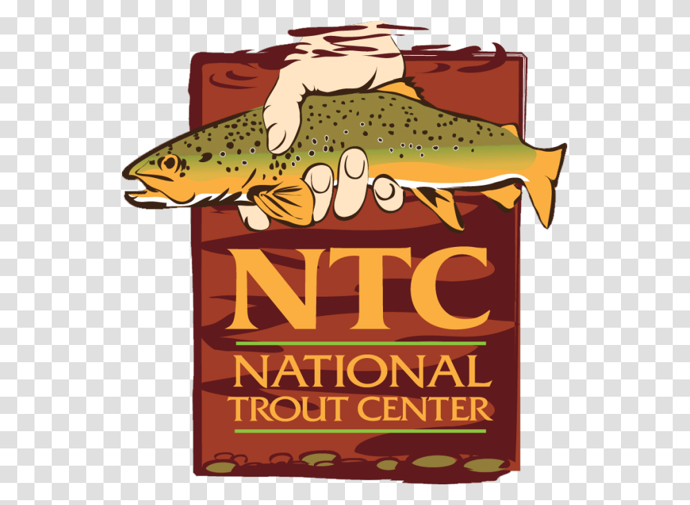 National Trout Center, Fish, Animal, Poster, Advertisement Transparent Png