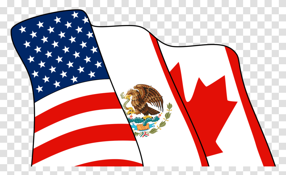Nationalism Drawing Veterans Day Black And White Nafta Latin America, Flag, American Flag, Bird Transparent Png