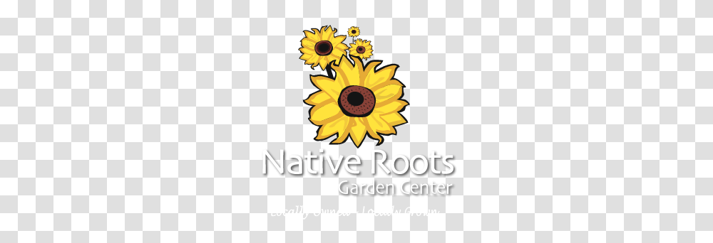 Native Roots Garden Center, Plant, Sunflower, Blossom, Flyer Transparent Png