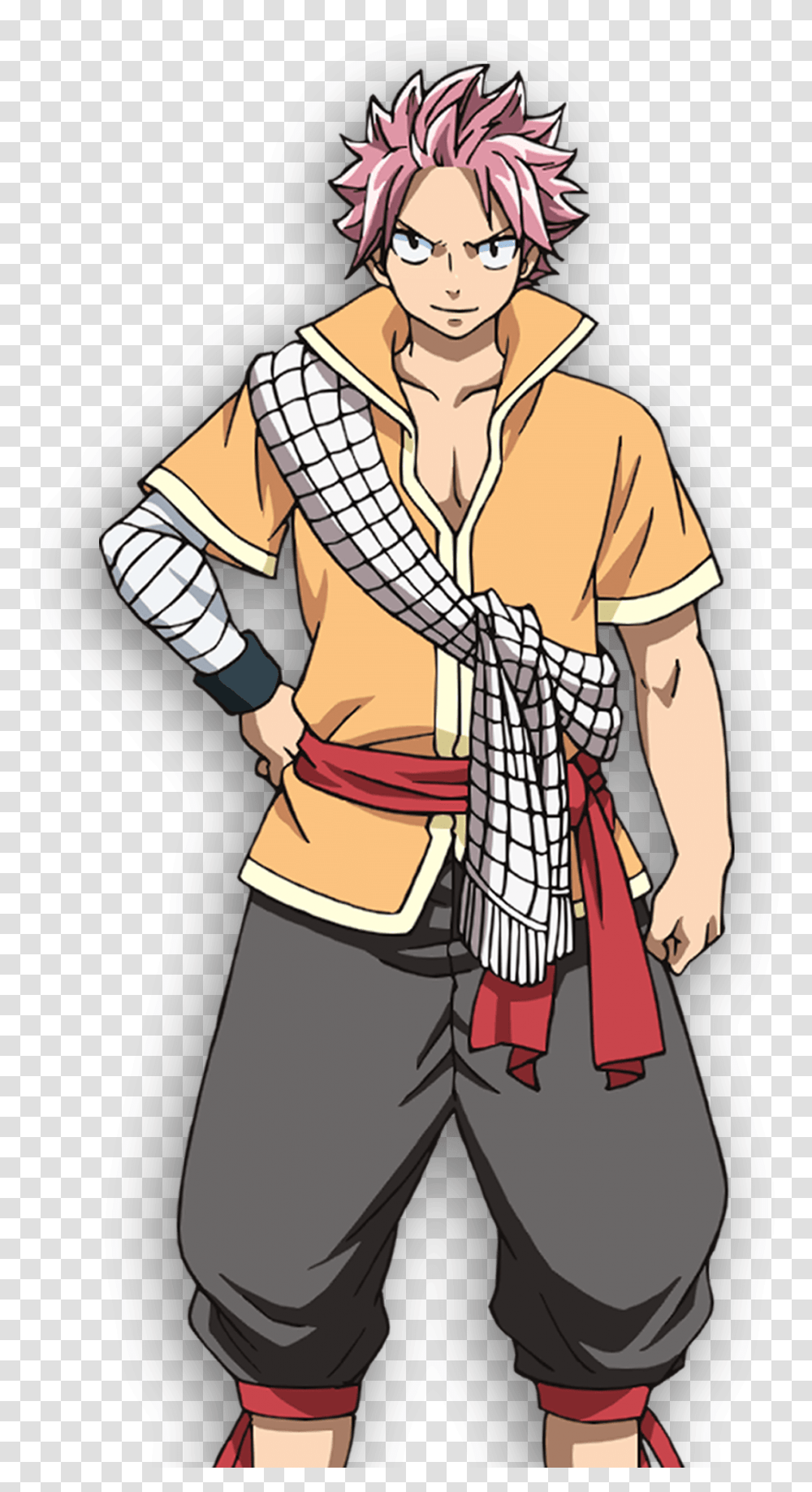 Natsu In His New Fairy Tail Dragon Cry Natsu, Person, Hug, Book Transparent Png