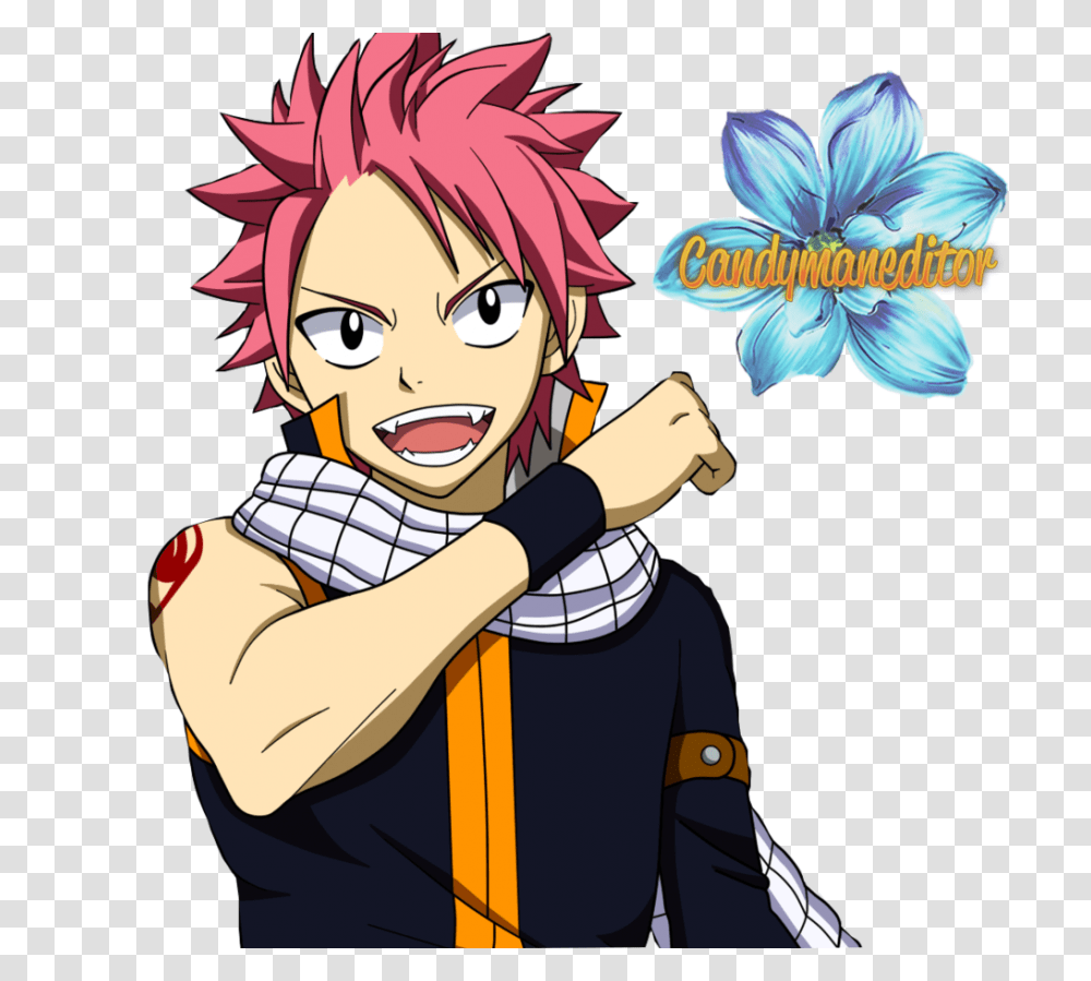 Natsu Taking A Picture, Comics, Book, Manga, Person Transparent Png