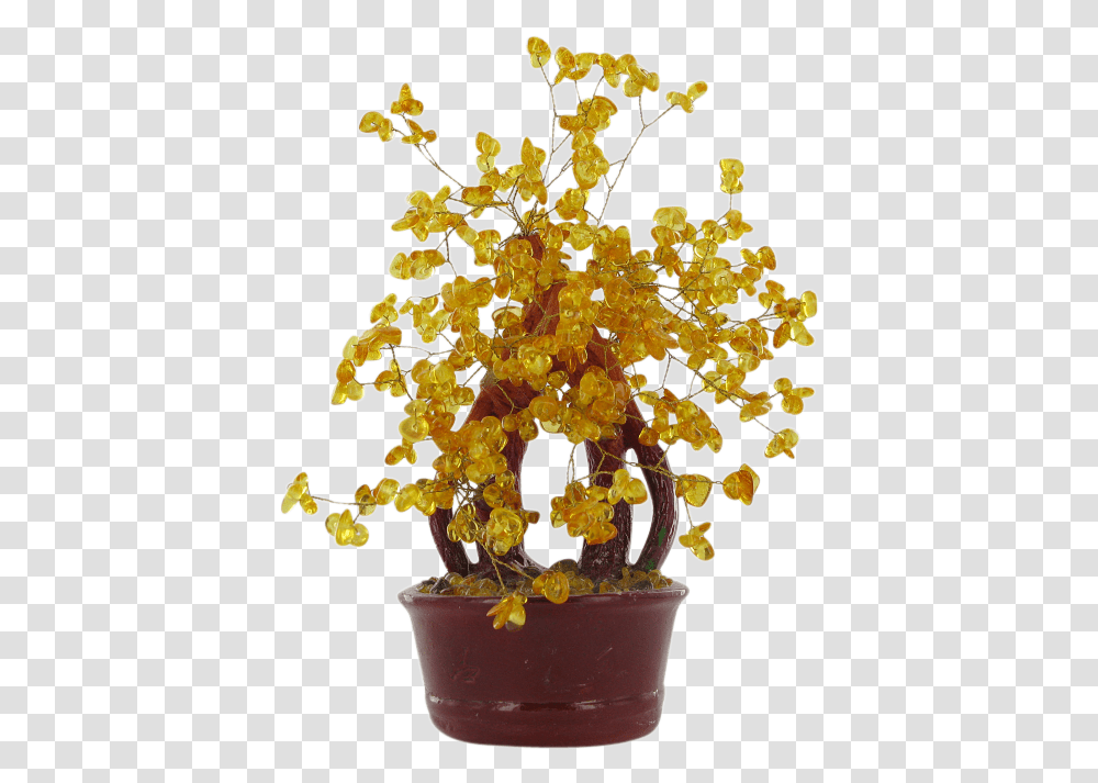 Natural Amber Lucky Money Tree Houseplant, Bonsai, Potted Plant, Vase, Jar Transparent Png