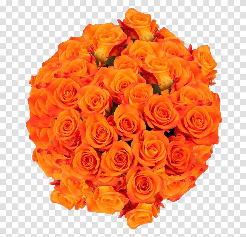 Natural Bright Orange Roses Floribunda, Plant, Flower, Blossom, Flower Bouquet Transparent Png