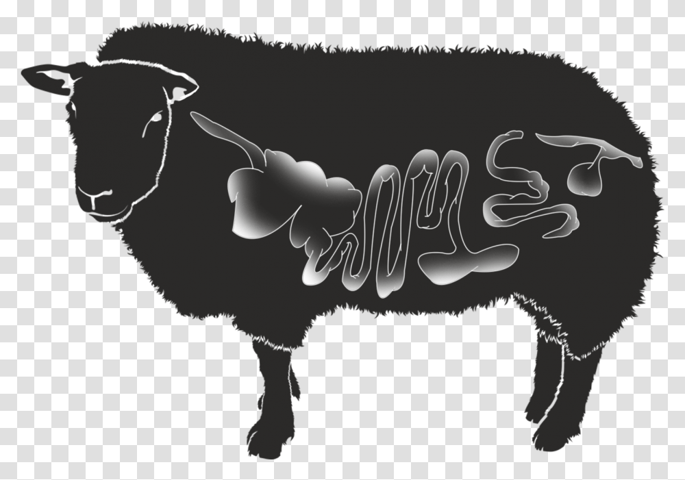 Natural Casings Sheep Darimex, Text, Mammal, Animal, Label Transparent Png