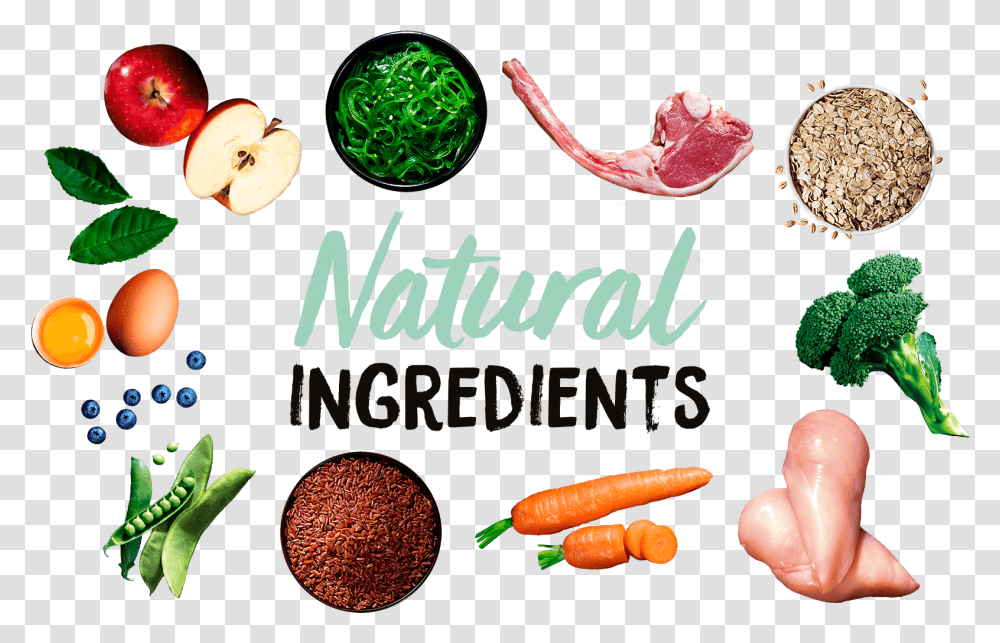 Natural Ingredients Carrot, Plant, Food, Vegetable, Label Transparent Png