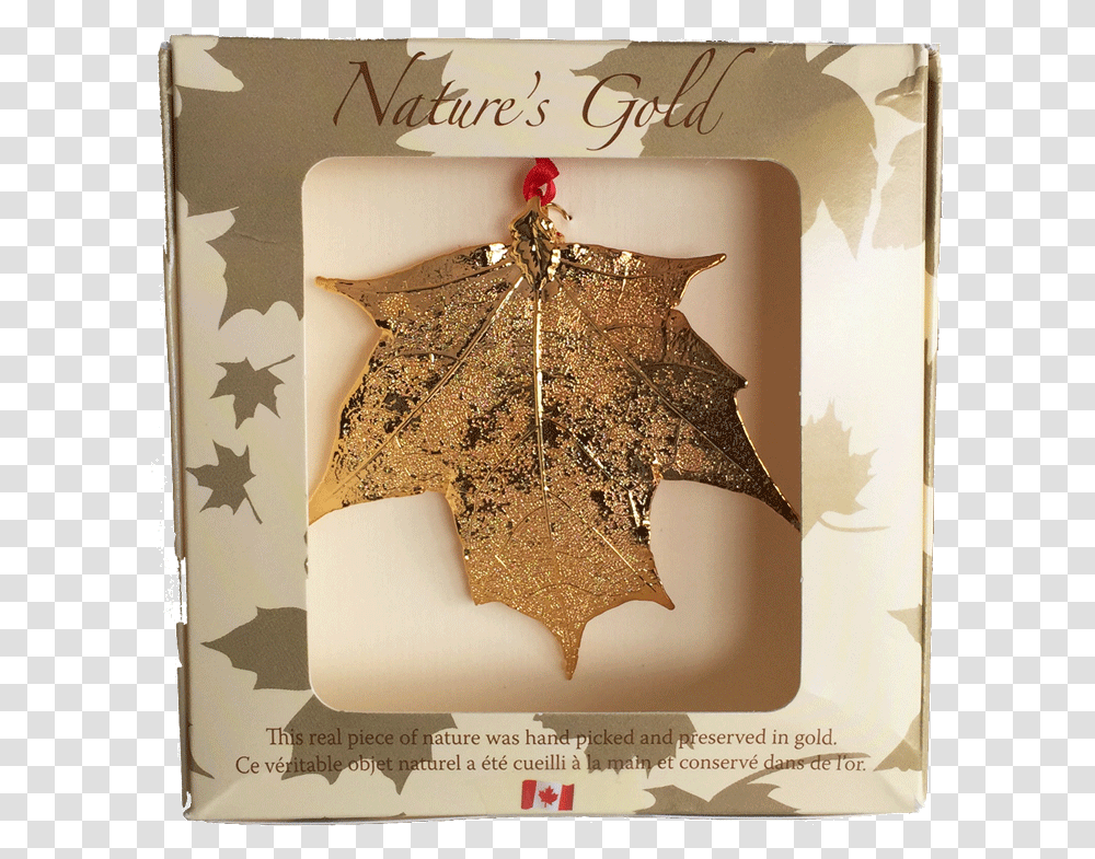 Natural Maple Leaf In Canada, Plant, Star Symbol, Tree, Mail Transparent Png