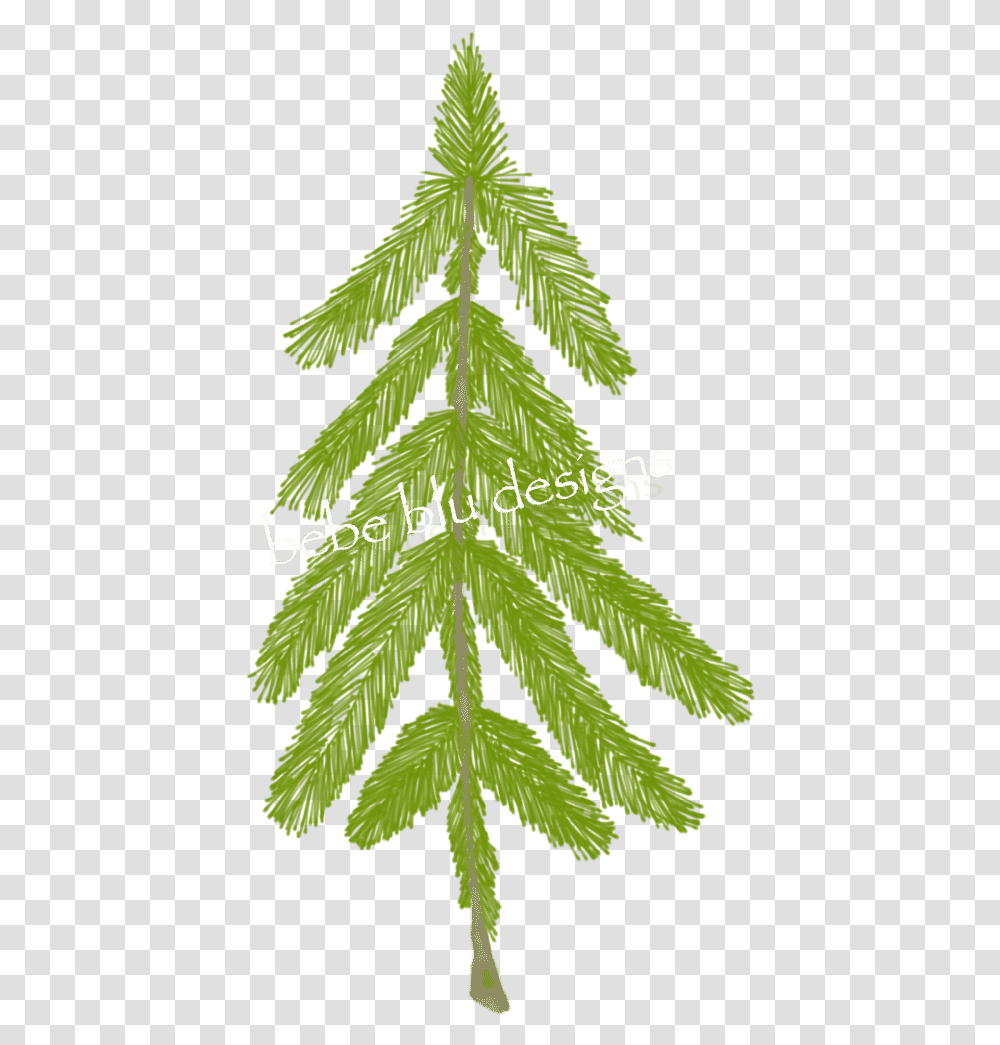 Natural Pine Tree Better Christmas Tree, Leaf, Plant, Fern, Moss Transparent Png