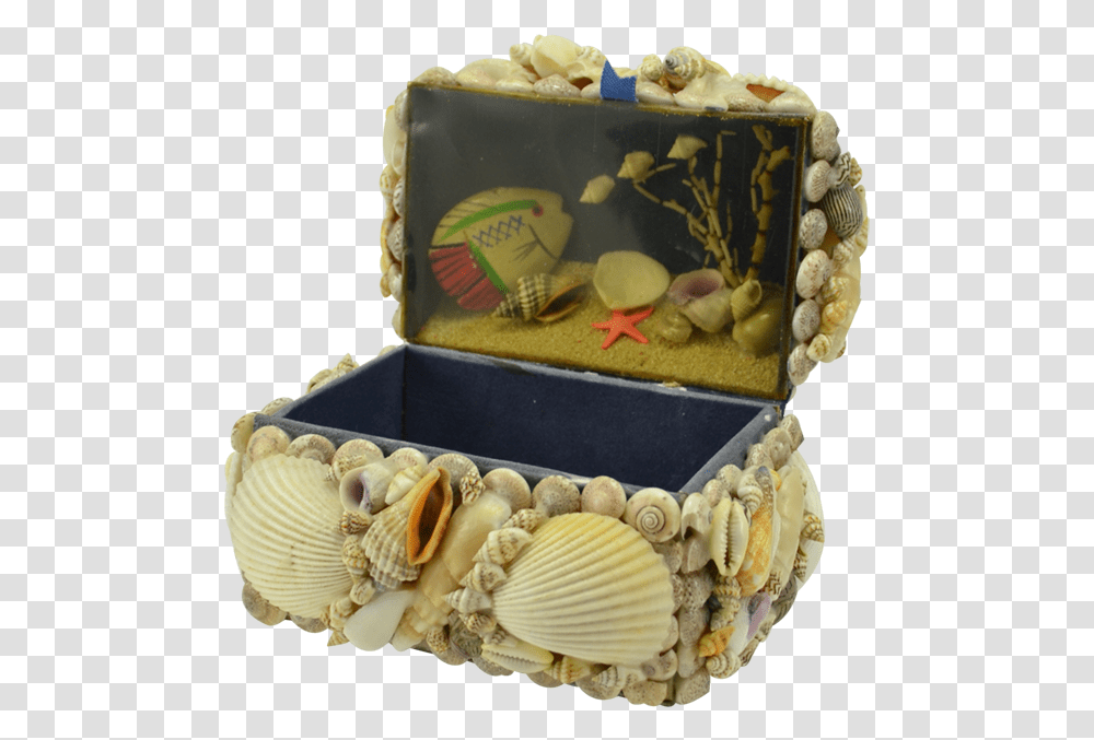 Natural Seashell Treasure Box Cradle, Birthday Cake, Dessert, Food, Clam Transparent Png