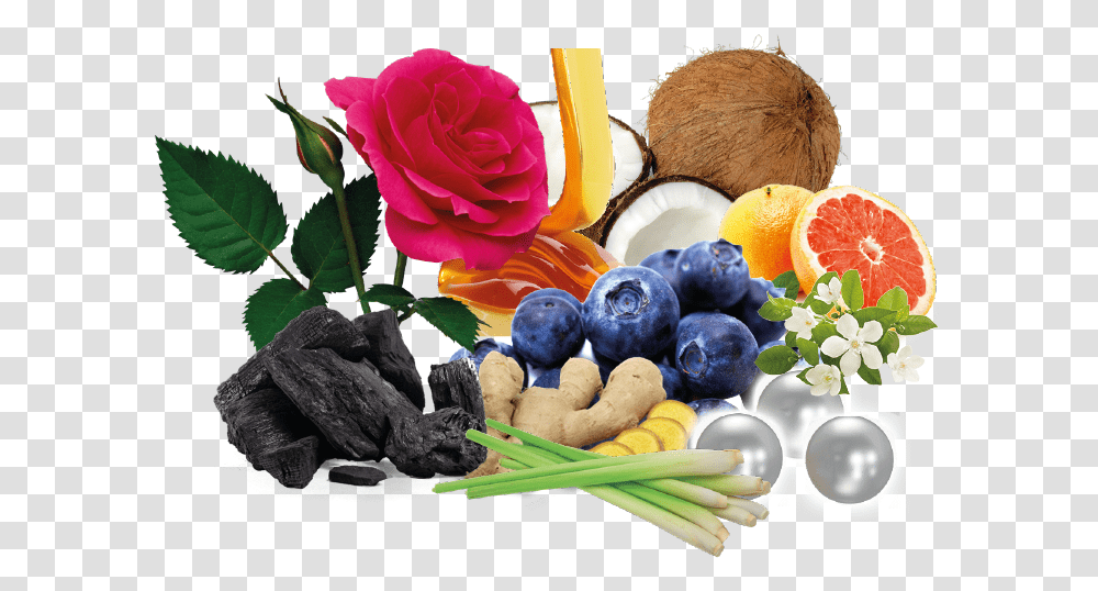 Natural Skincare Ingredients Natural Skin Care Ingredients, Plant, Fruit, Food, Orange Transparent Png