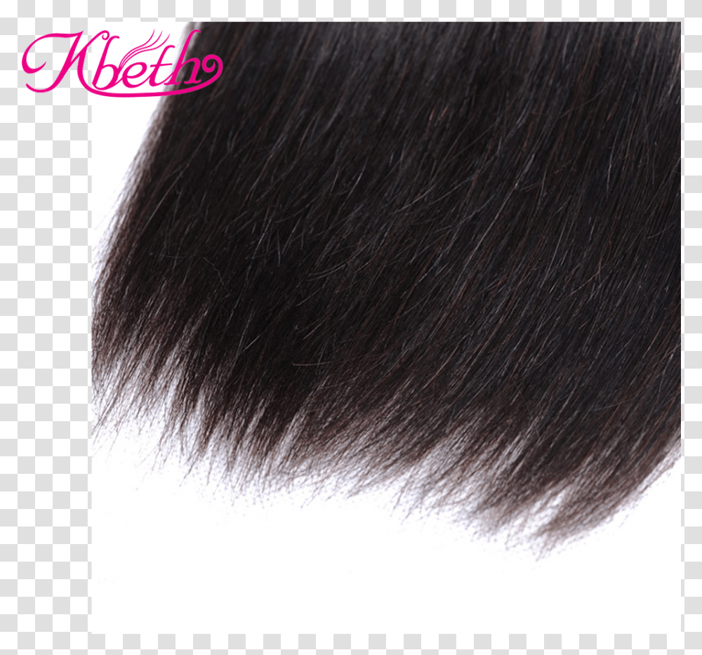 Natural Straight Indian Human Hair Wigs Price Lace Wig, Black Hair, Cat, Pet, Mammal Transparent Png