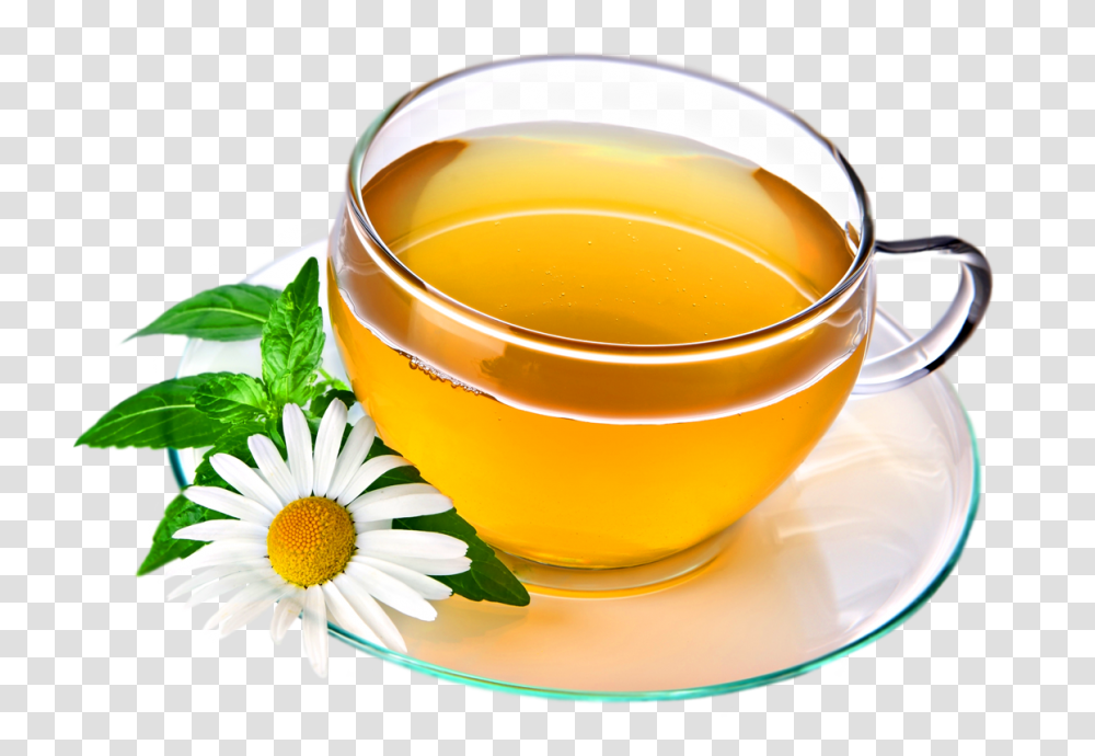 Natural Tea In Cup With Leaf, Vase, Jar, Pottery, Plant Transparent Png