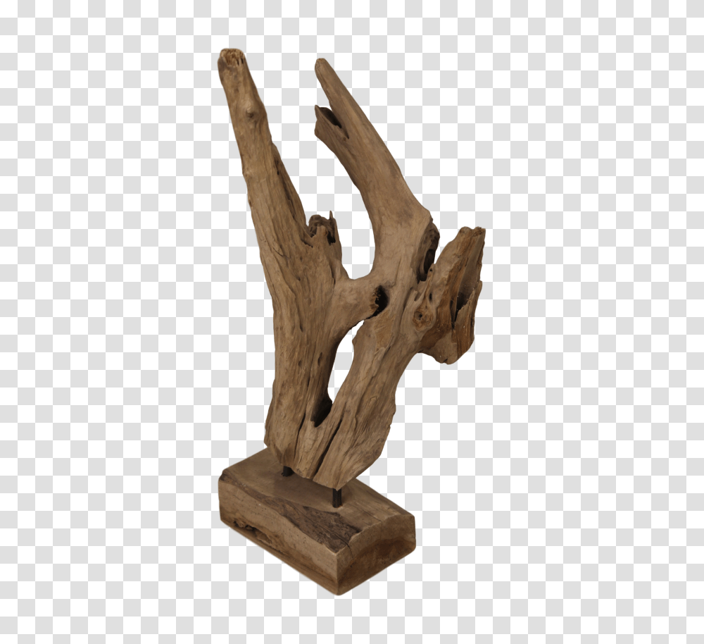 Natural Teak Sculpture Erosi, Wood, Driftwood Transparent Png