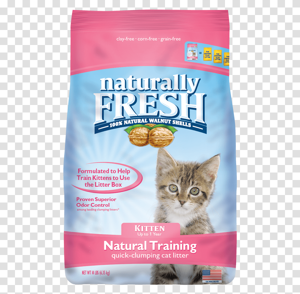 Naturally Fresh Kitten Litter, Plant, Cat, Pet, Mammal Transparent Png