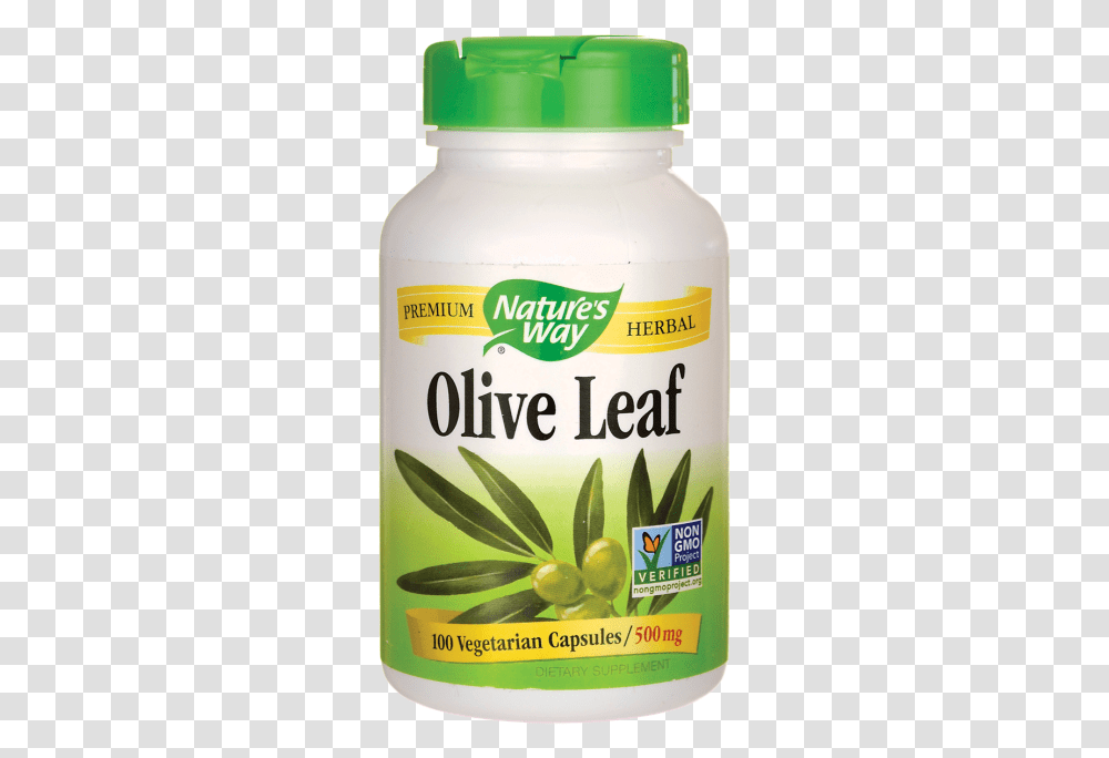Nature 039 S Way Olive Leaf 500 Mg 100 Veg Caps Suma Root, Plant, Food, Vase, Jar Transparent Png