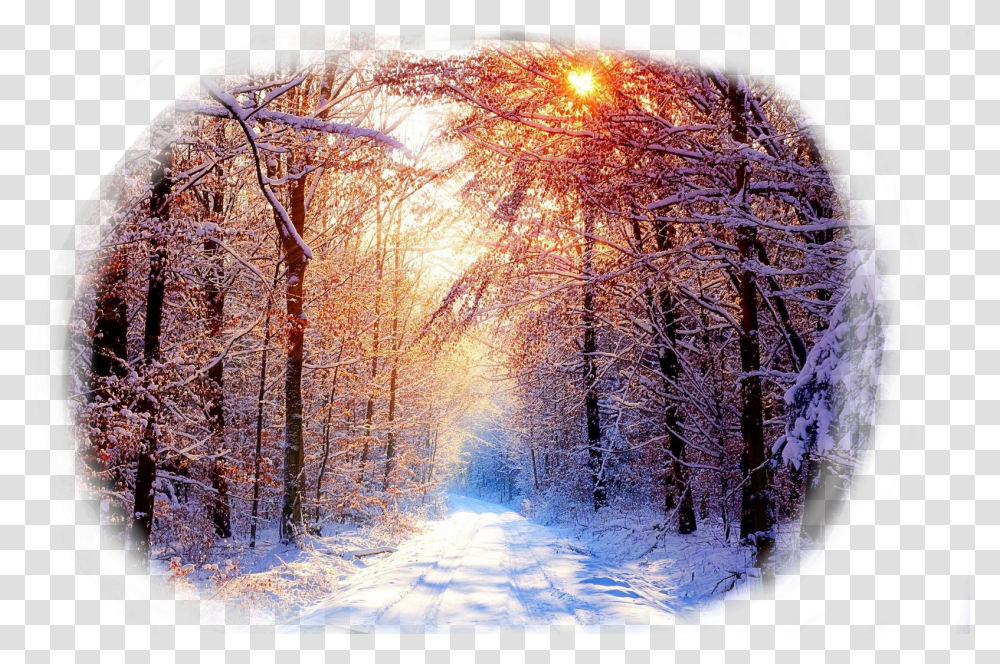 Nature 1080p Winter Wallpaper Hd, Sunlight, Outdoors, Flare, Painting Transparent Png