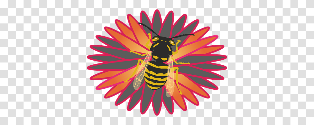 Nature Wasp, Bee, Insect, Invertebrate Transparent Png