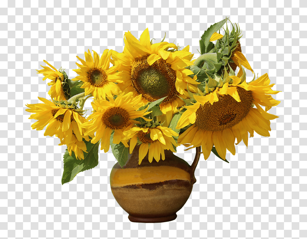 Nature 960, Flower, Plant, Blossom, Flower Arrangement Transparent Png