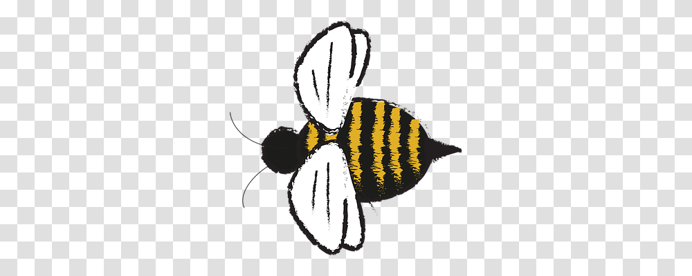 Nature Animal, Invertebrate, Insect, Wasp Transparent Png