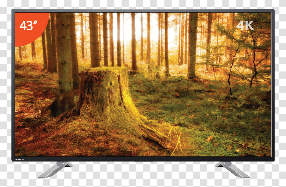 Nature Background Full Hd, Monitor, Screen, Electronics, Display Transparent Png
